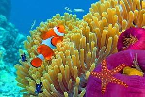 Attractions & Things to Do in Koh Samui
